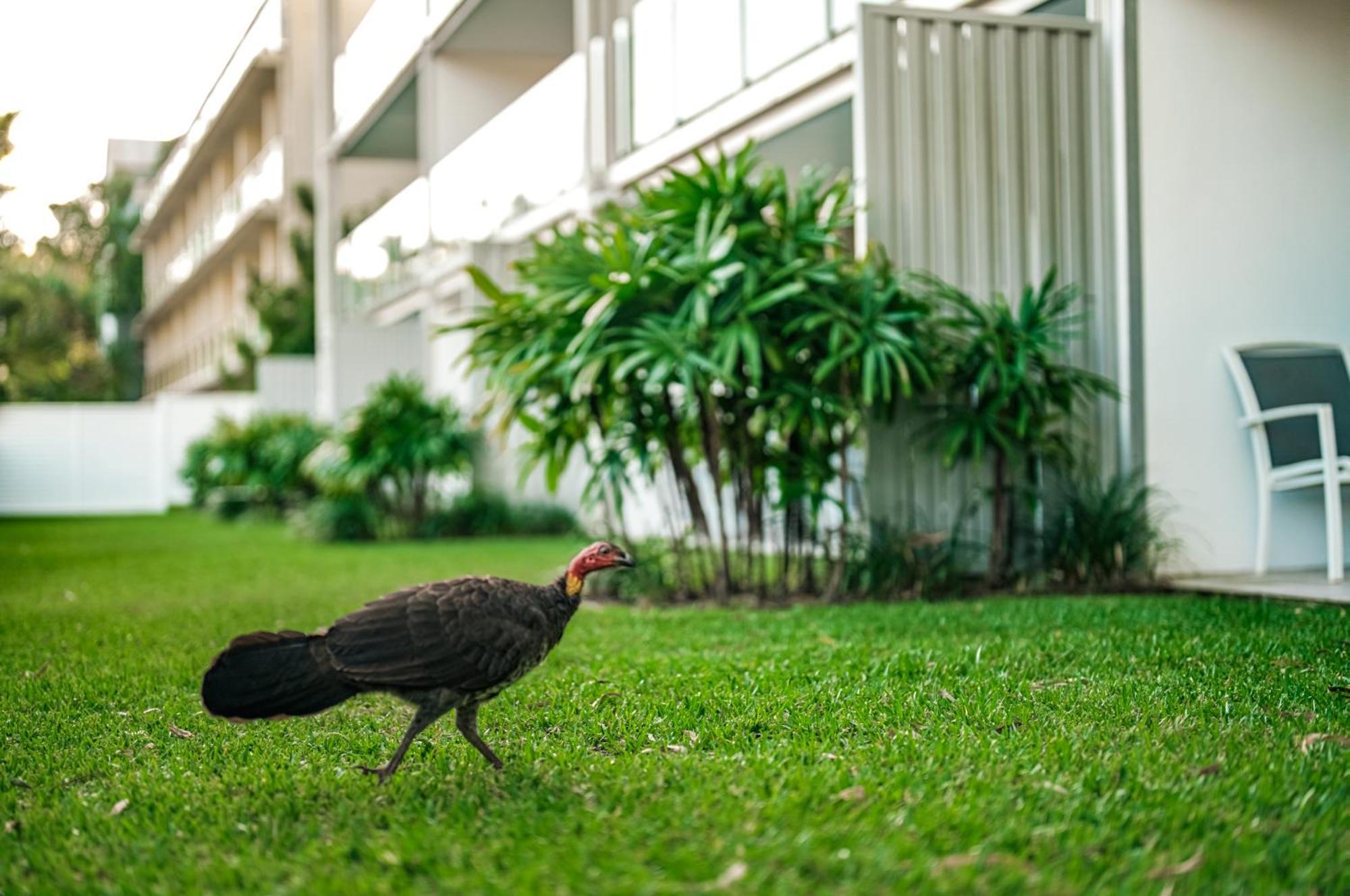 Jacaranda Noosa Aparthotel Ngoại thất bức ảnh